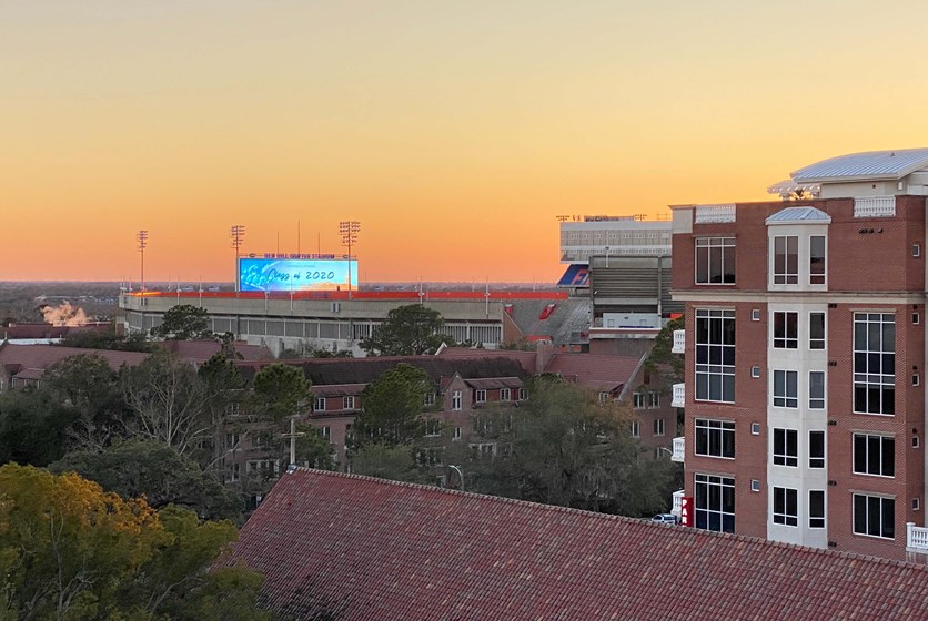 Midtown Apartments in Gainesville, FL Swamp Rentals